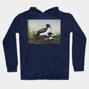 Two Loons in Perfect Tune Hoodie